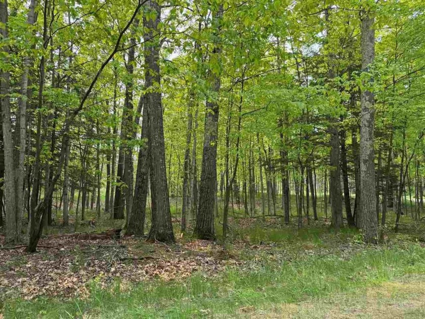 Fantastic opportunity to build your UP NORTH dream home located - Beach Lot for sale in Harbor Springs, Michigan on Beachhouse.com