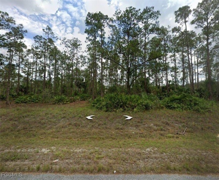 Prime Building Lot in Lehigh Acres - 802 Sheldon Ave Welcome to - Beach Lot for sale in Lehigh Acres, Florida on Beachhouse.com