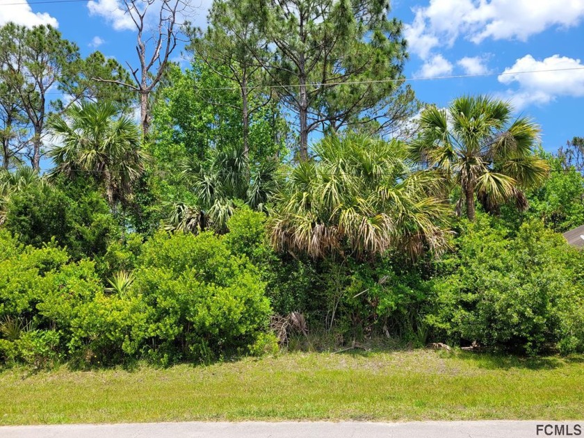 Build your home on this small, quiet cul-de-sac street in the - Beach Lot for sale in Palm Coast, Florida on Beachhouse.com
