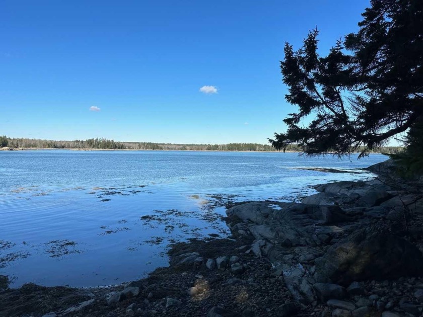 Beautiful sunrises across the bay from this wooded lot - Beach Lot for sale in Steuben, Maine on Beachhouse.com