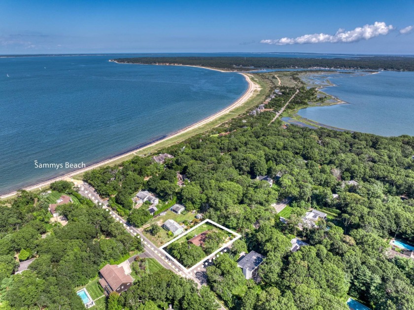 Experience life at the pinnacle of serenity at 1 Sammys Beach - Beach Home for sale in East Hampton, New York on Beachhouse.com