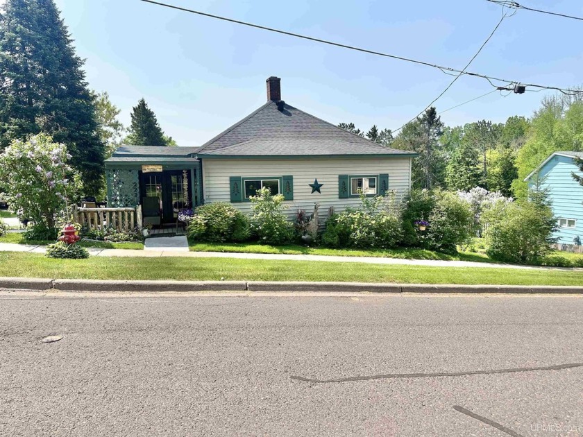Are you looking for a home that has a cozy cabin like feel? - Beach Home for sale in Ironwood, Michigan on Beachhouse.com