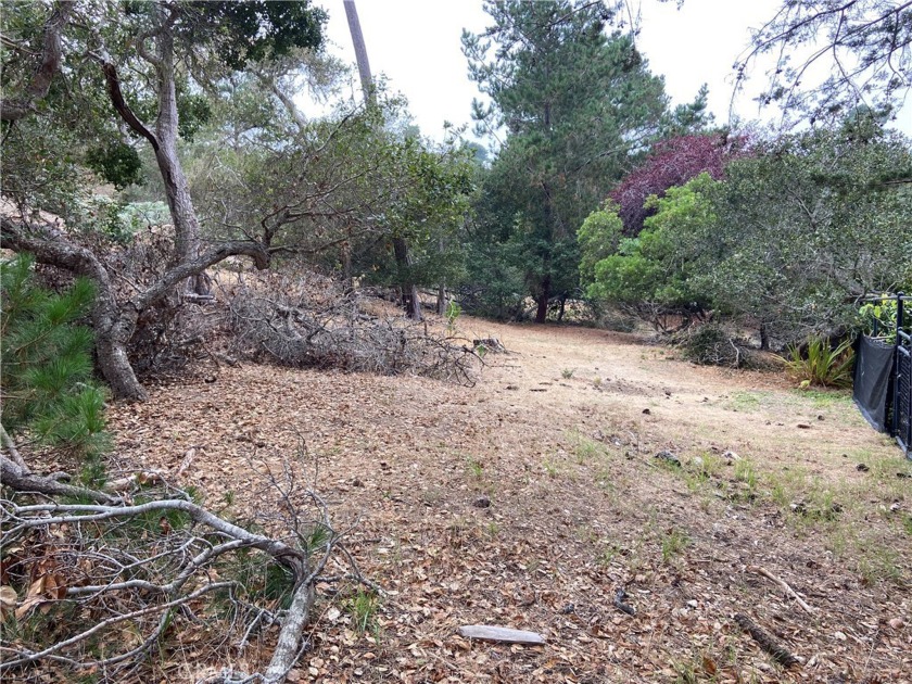 Possibly the best lot value  in Cambria.  On Warren Road in - Beach Lot for sale in Cambria, California on Beachhouse.com
