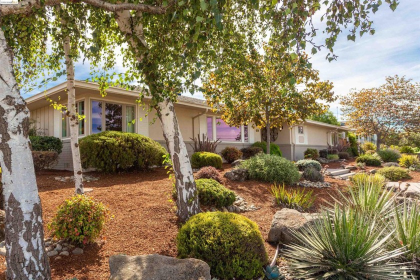 Nestled in the beautiful Bay O Vista neighborhood, this stunning - Beach Home for sale in San Leandro, California on Beachhouse.com