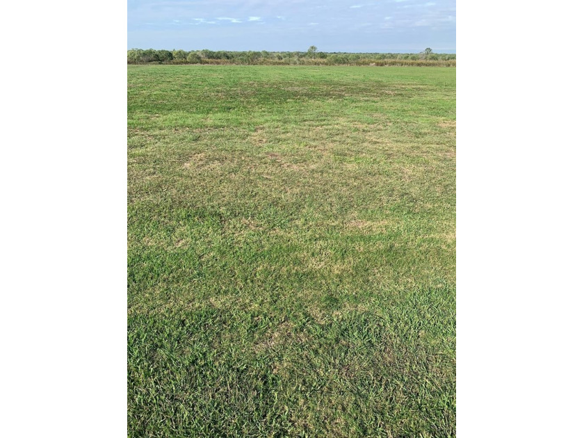 Beautiful lot in the Caney Creek Haven Subdivision.  This one is - Beach Lot for sale in Sargent, Texas on Beachhouse.com