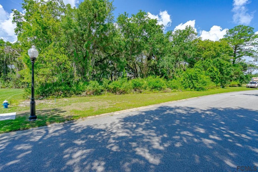 The perfect oversized home site is waiting for a visionary! - Beach Lot for sale in Palm Coast, Florida on Beachhouse.com