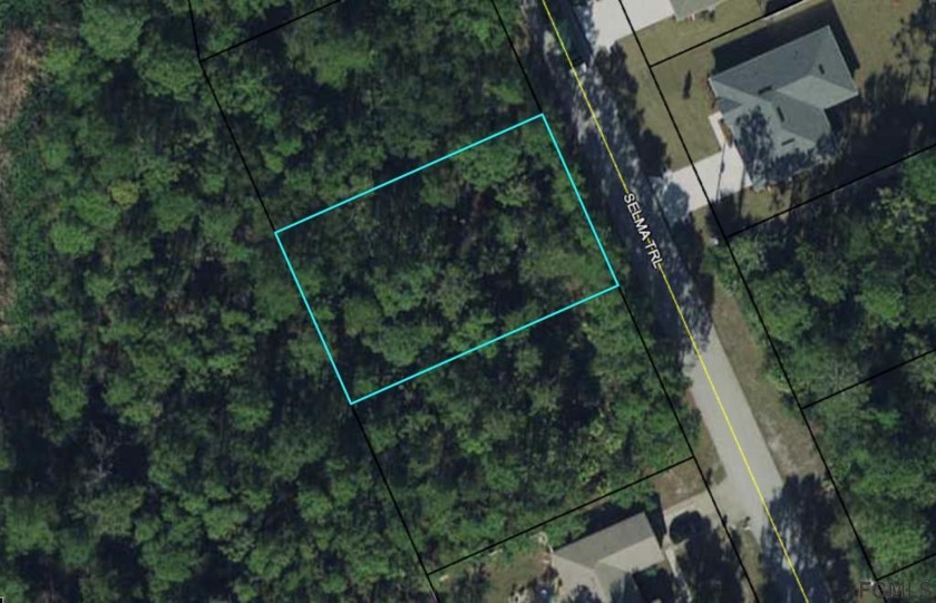 Great lot backing up to a reserve for you to come build your - Beach Lot for sale in Palm Coast, Florida on Beachhouse.com