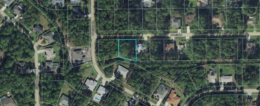 Great lot, located in Lehigh Woods subdivision in Palm Coast - Beach Lot for sale in Palm Coast, Florida on Beachhouse.com