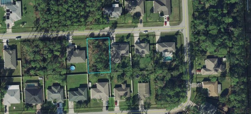 Nice lot, sits high and dry. No time limit to build. Close to - Beach Lot for sale in Palm Coast, Florida on Beachhouse.com