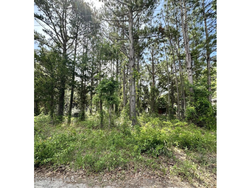 Welcome home! Looking for a lot to build or put a home on? This - Beach Lot for sale in Shallotte, North Carolina on Beachhouse.com