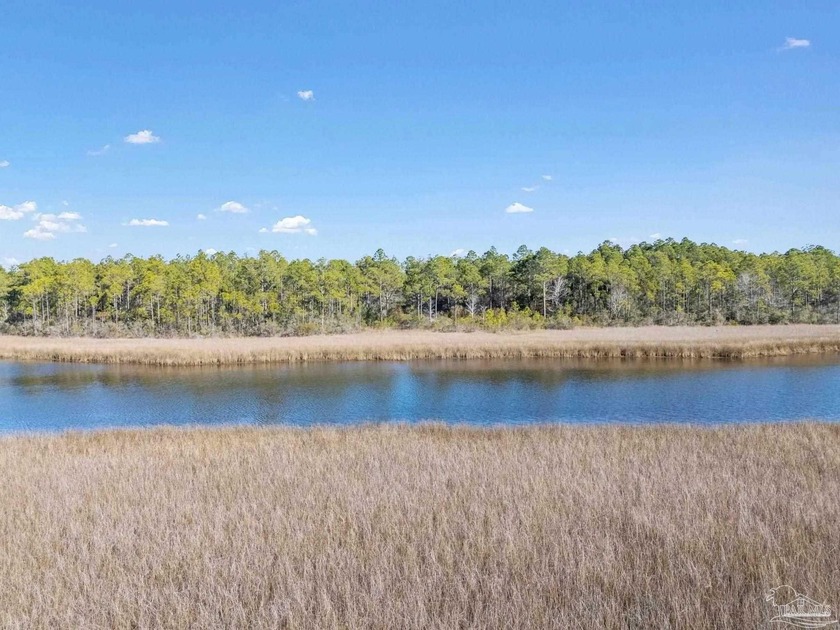 Exceptional Waterfront Homesite ~ 2 Acre Parcel with 270 Feet of - Beach Acreage for sale in Milton, Florida on Beachhouse.com