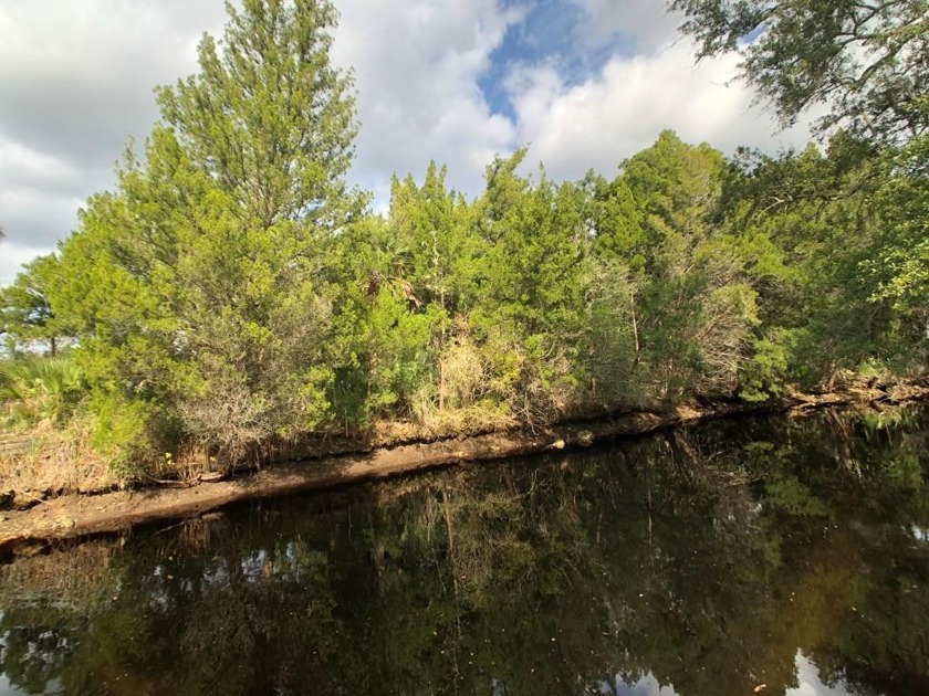 Excellent opportunity in Steinhatchee! These lots are located on - Beach Lot for sale in Steinhatchee, Florida on Beachhouse.com