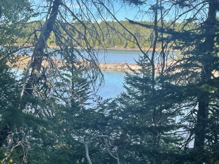 Located on a private road, this 5.2-acre parcel offers 485' on - Beach Acreage for sale in Lubec, Maine on Beachhouse.com