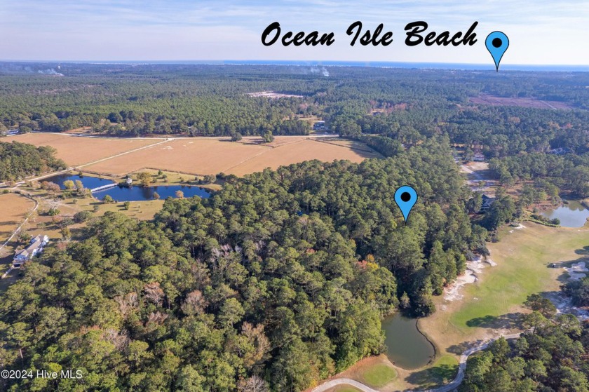 Larger 5 acre lot parcel heavily wooded adjacent to the Ocean - Beach Acreage for sale in Ocean Isle Beach, North Carolina on Beachhouse.com