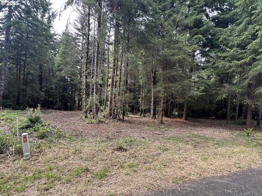 This 1 acre buildable lot is located in a quiet residential - Beach Lot for sale in Florence, Oregon on Beachhouse.com