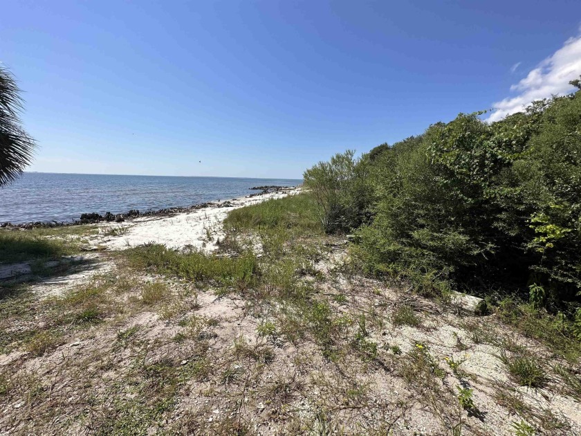 This gulf-front lot offers stunning views right on the edge of - Beach Lot for sale in Carabelle, Florida on Beachhouse.com