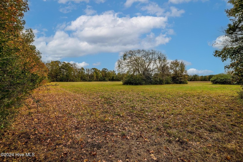 Beautiful lot peaceful and private 5 acre lot with 4 acres - Beach Acreage for sale in Camden, North Carolina on Beachhouse.com