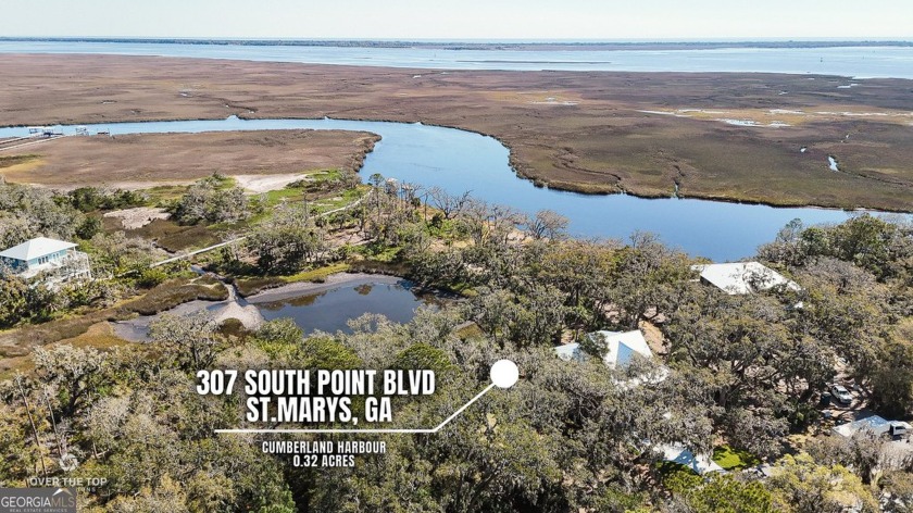 One of the most unique properties you'll find!! This beautiful - Beach Lot for sale in Saint Marys, Georgia on Beachhouse.com