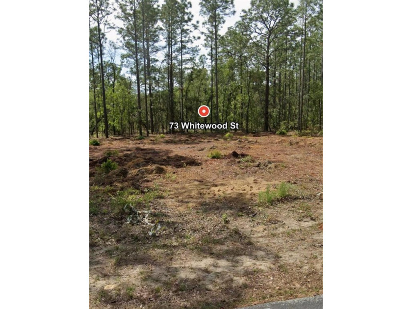 Under contract-accepting backup offers. Discover the perfect - Beach Lot for sale in Homosassa, Florida on Beachhouse.com