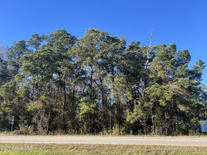 Prime Location less than one mile from the north entrance to Hwy - Beach Lot for sale in Shallotte, North Carolina on Beachhouse.com