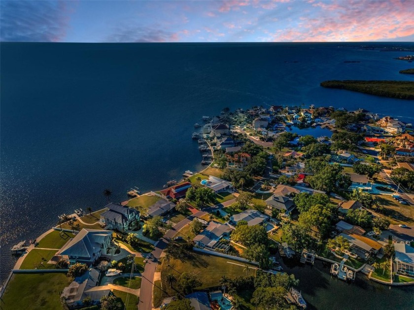 Named  *The Mango Land*  because it once boasted mango trees, it - Beach Lot for sale in Palm Harbor, Florida on Beachhouse.com