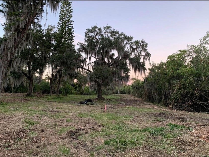 9.3 ACRES TOTAL, VERY PRIVATE VACANT LAND, PARTLY CLEARED WITH - Beach Acreage for sale in Palmetto, Florida on Beachhouse.com