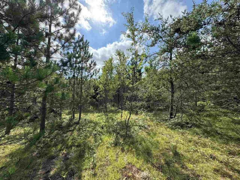 10.09 ACRES BACKING UP TO HUNDREDS OF ACRES OF STATE LAND FOR - Beach Lot for sale in Cheboygan, Michigan on Beachhouse.com