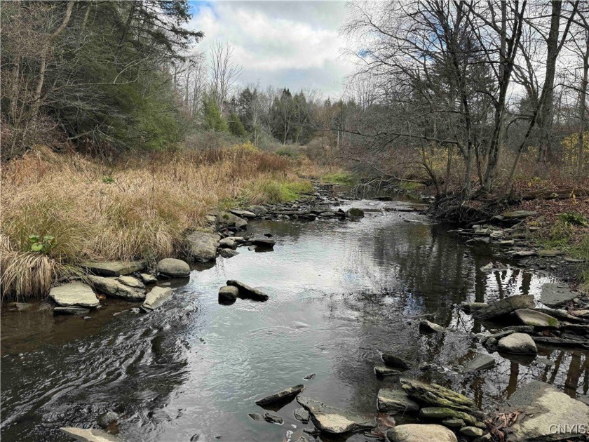 Great opportunity to own some excellent hunting land bordering - Beach Acreage for sale in Ripley, New York on Beachhouse.com