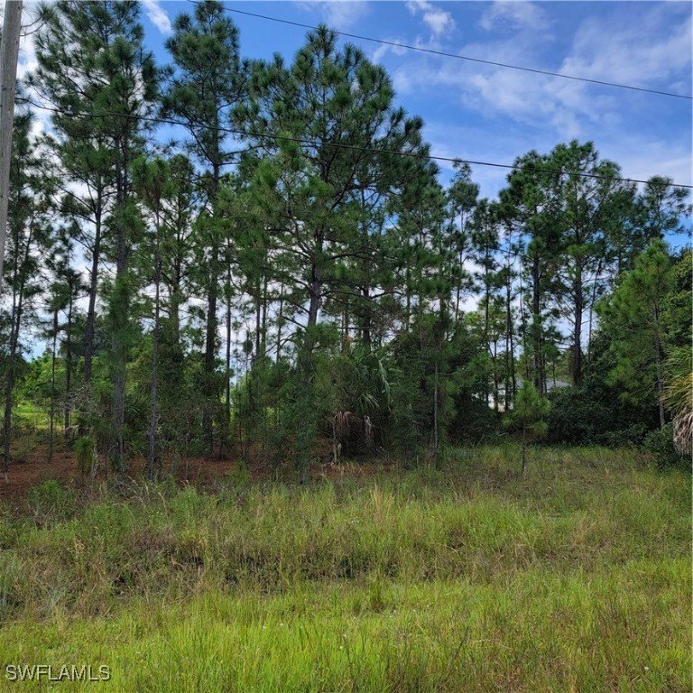 Make an investment or build your new home on this beautiful - Beach Lot for sale in Lehigh Acres, Florida on Beachhouse.com