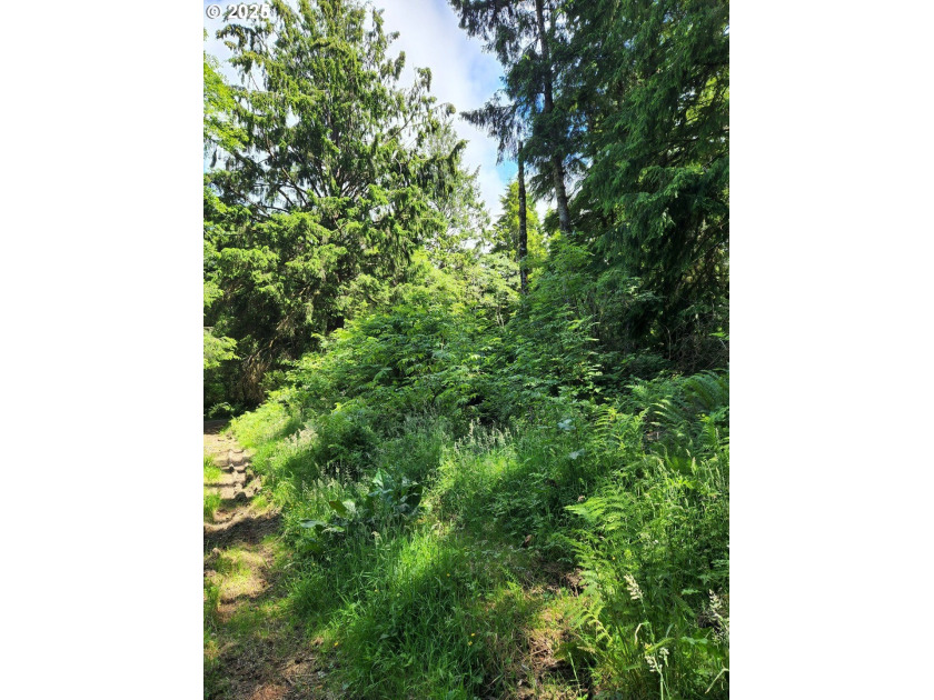 Build your dream Oregon Coast Home on this dreamy shady land - Beach Lot for sale in Rockaway Beach, Oregon on Beachhouse.com