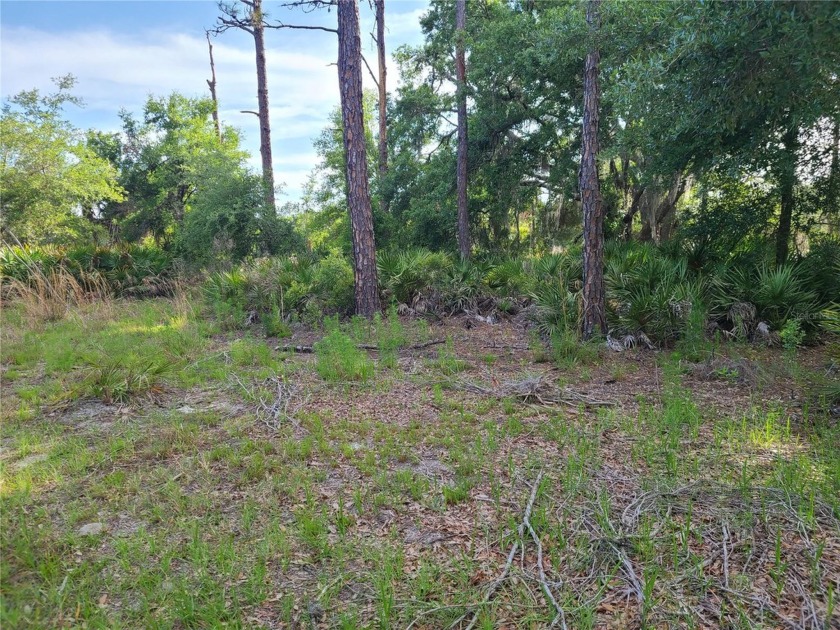 Lovely property offering 1.58 acres with room to roam. It could - Beach Lot for sale in Crystal River, Florida on Beachhouse.com