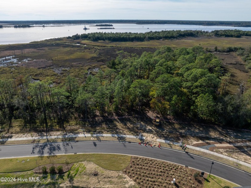 Build your dream home on this One Acre private enclave within - Beach Lot for sale in Wilmington, North Carolina on Beachhouse.com