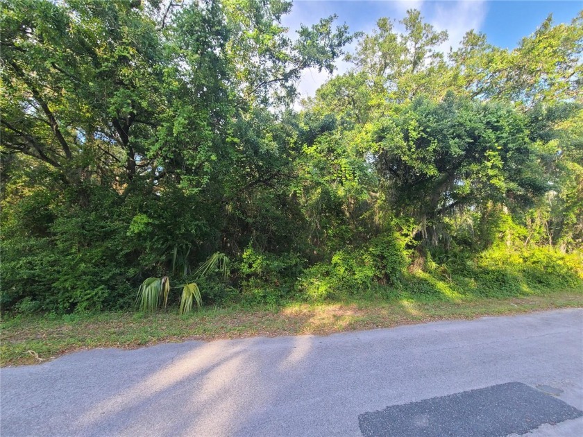 Lovely property offering .99 acres with room to roam. Enjoy the - Beach Lot for sale in Crystal River, Florida on Beachhouse.com