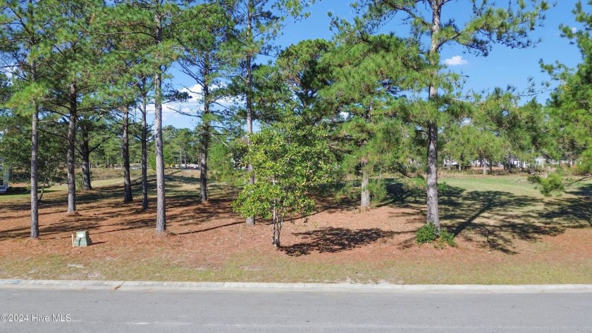 Beautiful, pond-front home site in Ocean Ridge Plantation's - Beach Lot for sale in Sunset Beach, North Carolina on Beachhouse.com