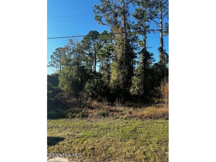 Vacant lot in Boiling Spring Lake - Ready for your New Home!
 - Beach Lot for sale in Southport, North Carolina on Beachhouse.com