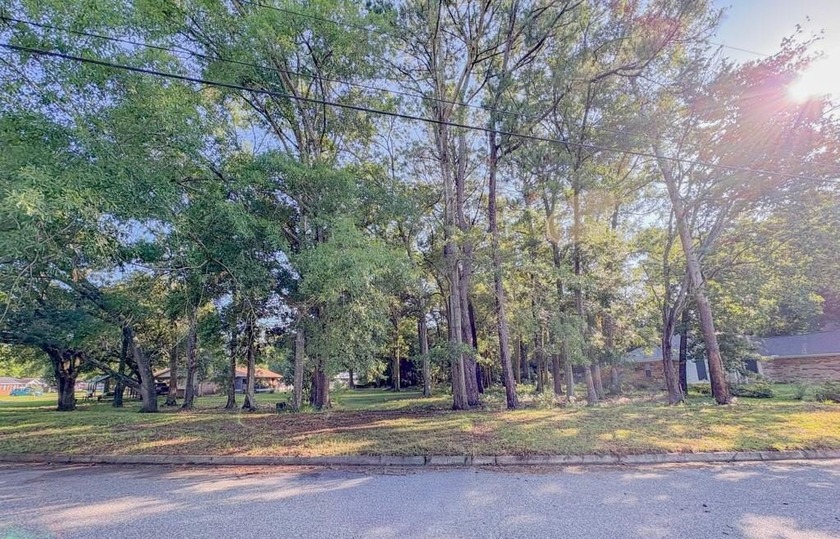 Don't miss your chance to own the final available lot in this - Beach Lot for sale in Mobile, Alabama on Beachhouse.com