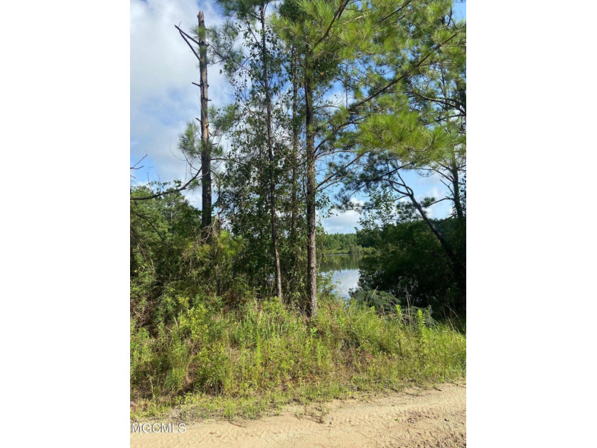 Are you looking for a blank slate to build your future dream - Beach Acreage for sale in Gulfport, Mississippi on Beachhouse.com