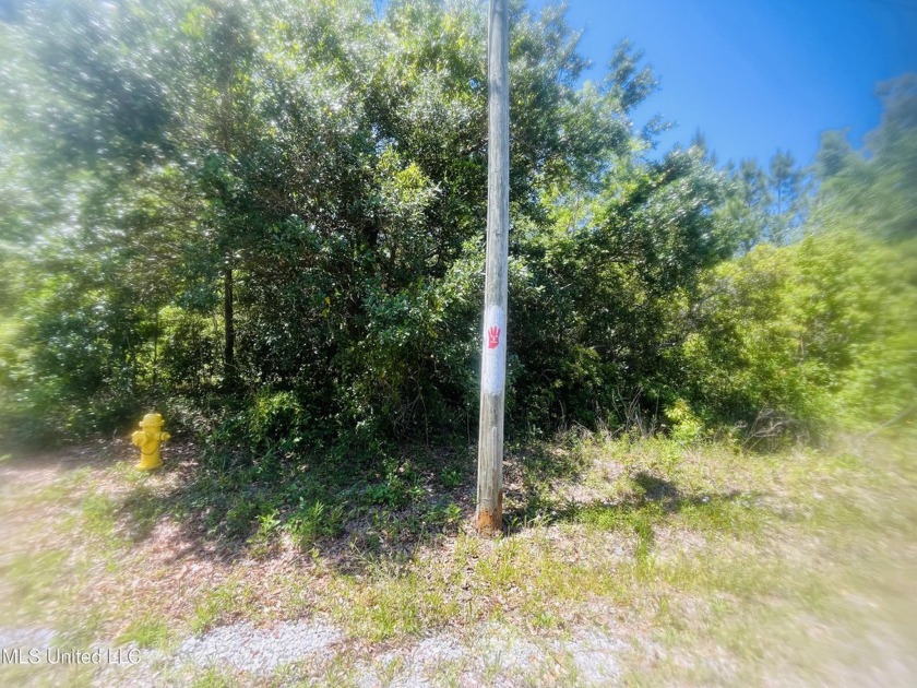 Convenience meets coastal charm as this lot provides easy access - Beach Lot for sale in Pass Christian, Mississippi on Beachhouse.com