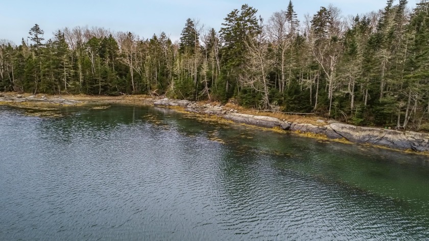 This 2.61 acre ocean front lot is just the right distance out of - Beach Acreage for sale in Steuben, Maine on Beachhouse.com