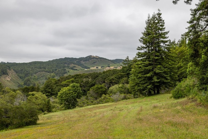 This private 86- acre parcel offers spectacular Potrero Valley - Beach Acreage for sale in Carmel, California on Beachhouse.com