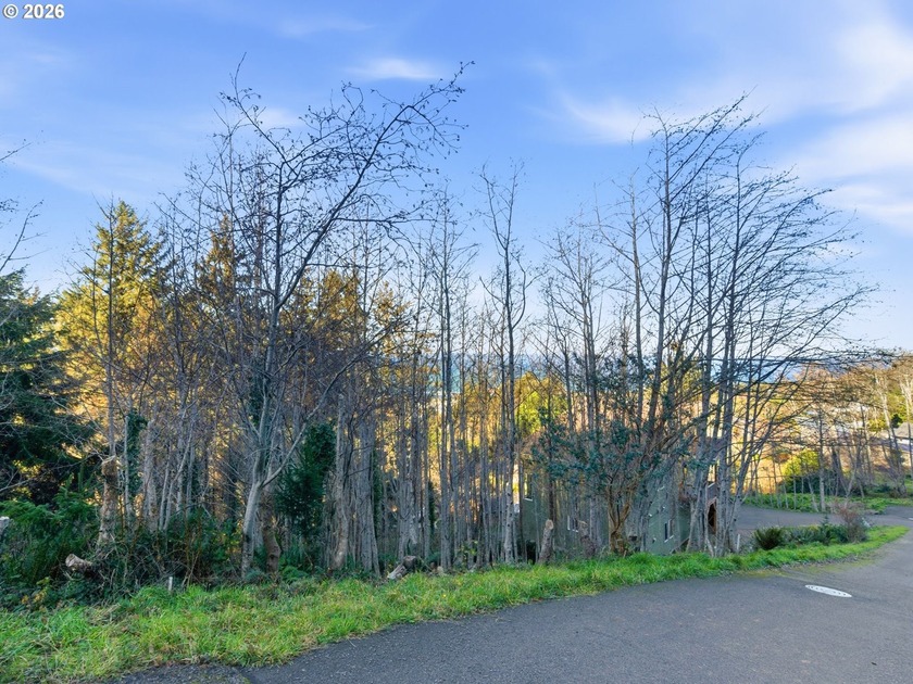 Come build your dream home on this 0.19-acre ocean-view lot in - Beach Lot for sale in Yachats, Oregon on Beachhouse.com