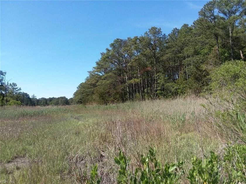 Opportunity to have home built to enjoy natural surrounding to - Beach Acreage for sale in Hampton, Virginia on Beachhouse.com