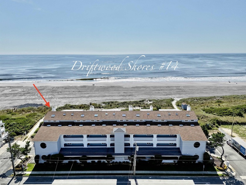 Welcome to Driftwood Shores Condominiums - Your Oceanfront - Beach Condo for sale in Brigantine, New Jersey on Beachhouse.com
