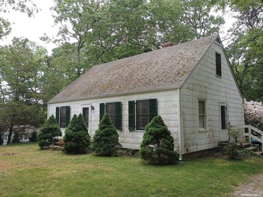 Quaint Cape on a large lot (100x125) with water rights and - Beach Home for sale in Southampton, New York on Beachhouse.com