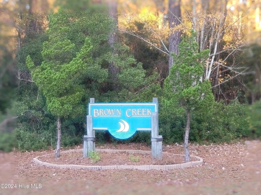 Exceptional Opportunity - Large Residential Lot with Deeded Boat - Beach Acreage for sale in Oriental, North Carolina on Beachhouse.com