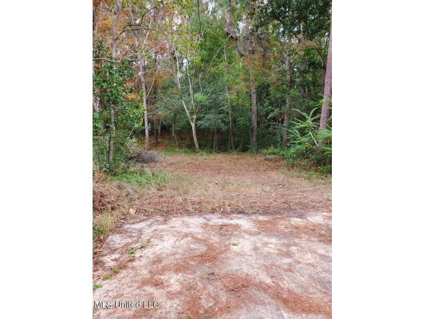 Nice building lot!  Located in a quiet area near the beach - Beach Lot for sale in Gautier, Mississippi on Beachhouse.com