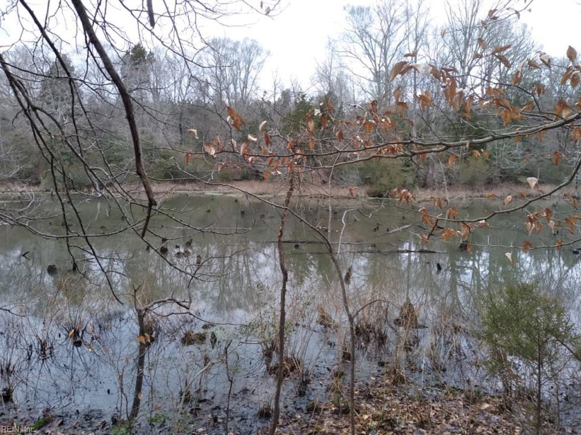 Gorgeous lot! Great Duck Hunting opportunity and rural escape! - Beach Acreage for sale in Smithfield, Virginia on Beachhouse.com