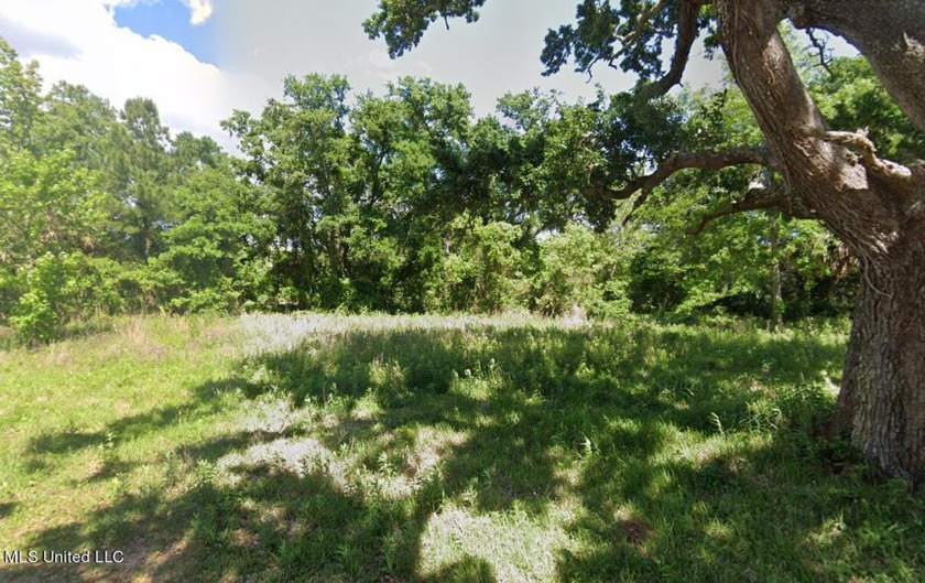 Beautiful, extra large lot only 1/2 block from the beach. Build - Beach Lot for sale in Pass Christian, Mississippi on Beachhouse.com