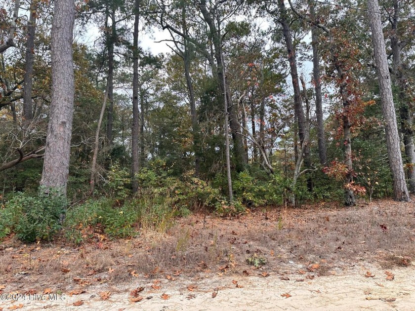 Charming Buildable Lot in Albemarle Sound Beach - Historic - Beach Lot for sale in Jarvisburg, North Carolina on Beachhouse.com