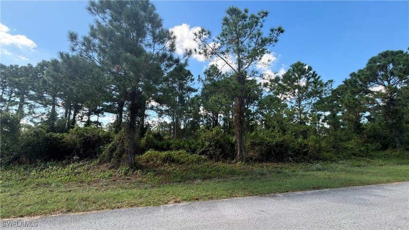 Looking for the perfect SWFL lot to build your forever home? - Beach Lot for sale in Lehigh Acres, Florida on Beachhouse.com